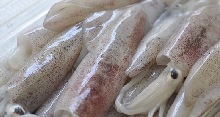 Halong Hand-Pounded Squid Cakes: A Culinary Masterpiece Among Vietnam’s Top 50 Delicacies