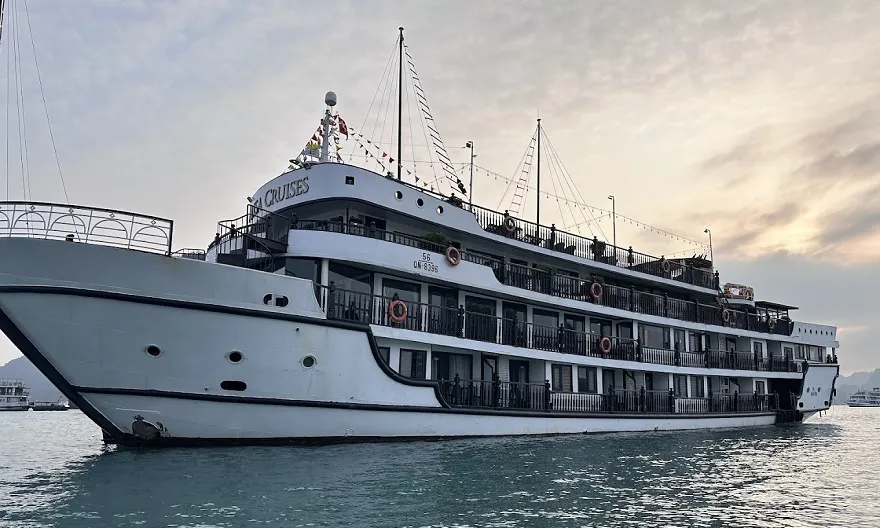 Alisa Premier Cruise