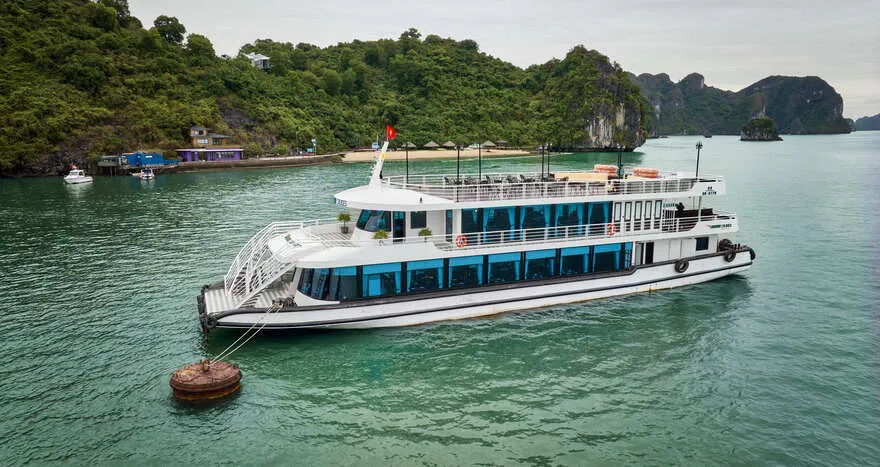 VDream 99 Pax Cruise