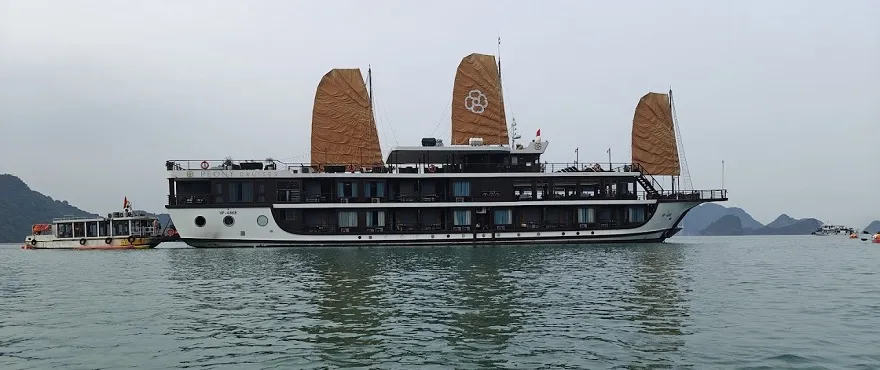 Peony Cruise