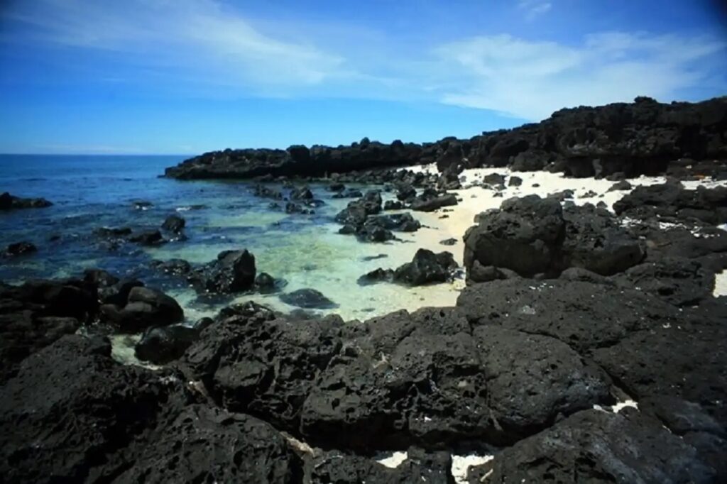 Tra Co Beach: A Pristine Haven for Nature Lovers