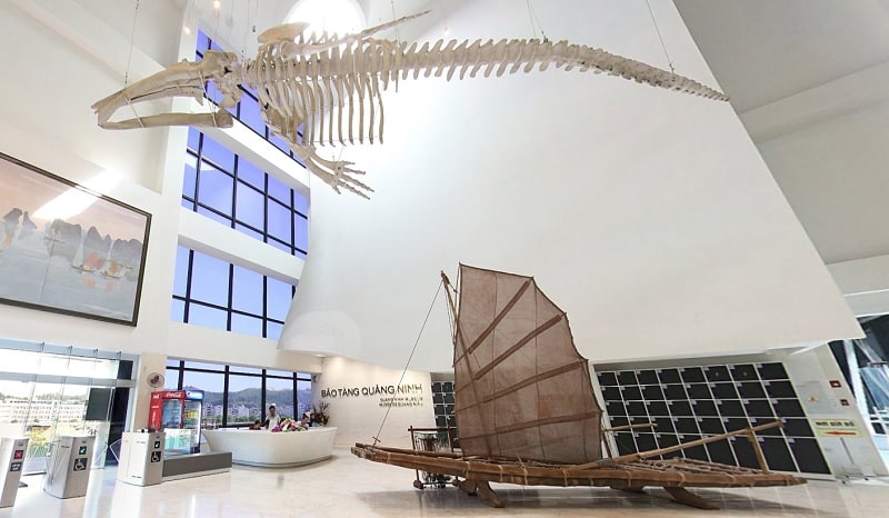 Whale skeleton and sailing boat model at Quang Ninh Museum