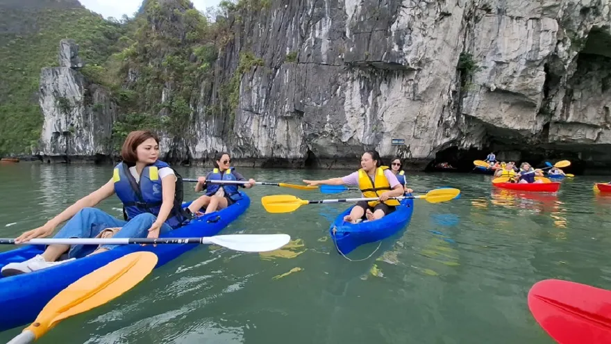 The Ultimate Halong Bay Kayaking Guide: Rates, Routes, and Refining the Experience