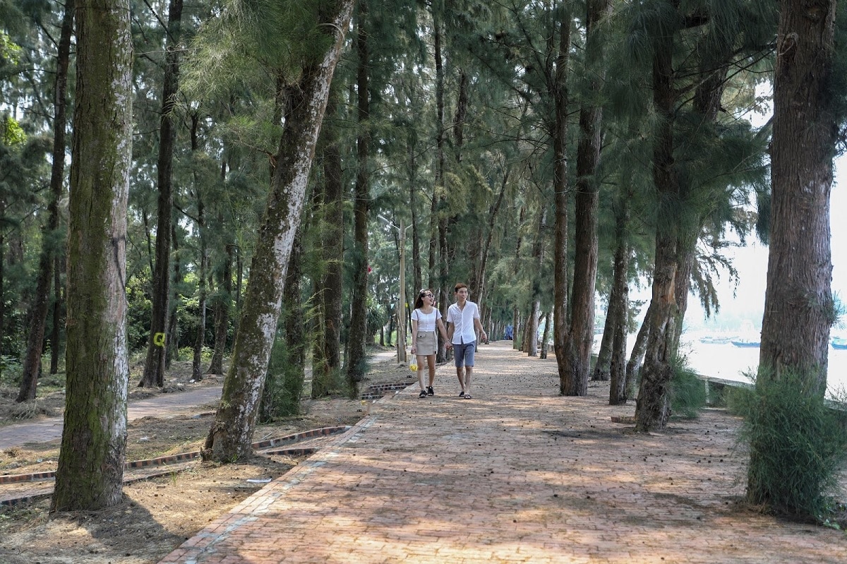 The Road of Love
