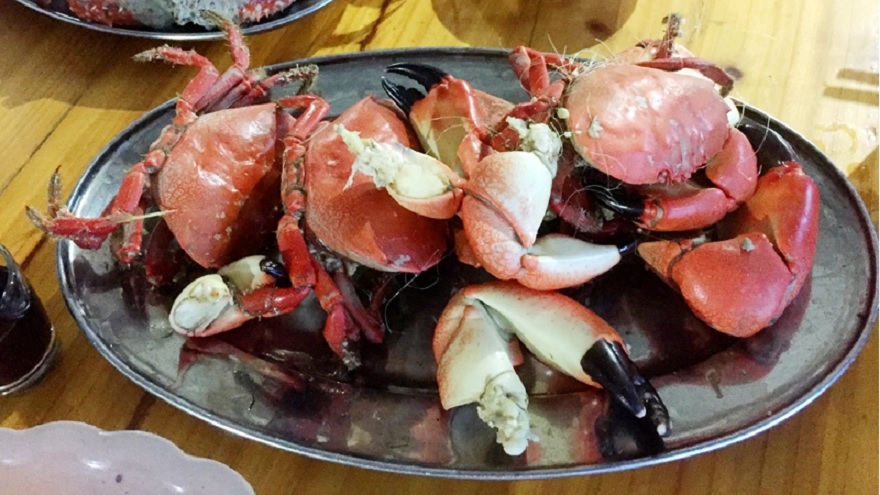Steamed stone crab