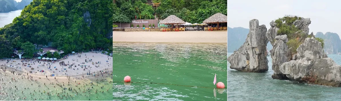 Ti Top Island, Soi Sim Island, and Fighting Cock Islet are among the most iconic islands in Ha Long Bay