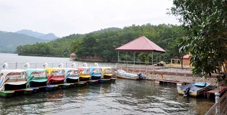 Swan pedal boats at Khe Che Lake