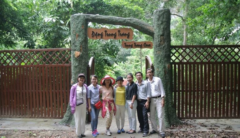 Discovering Trung Trang Cave: Unveiling the Secrets of a Million-Year-Old Masterpiece