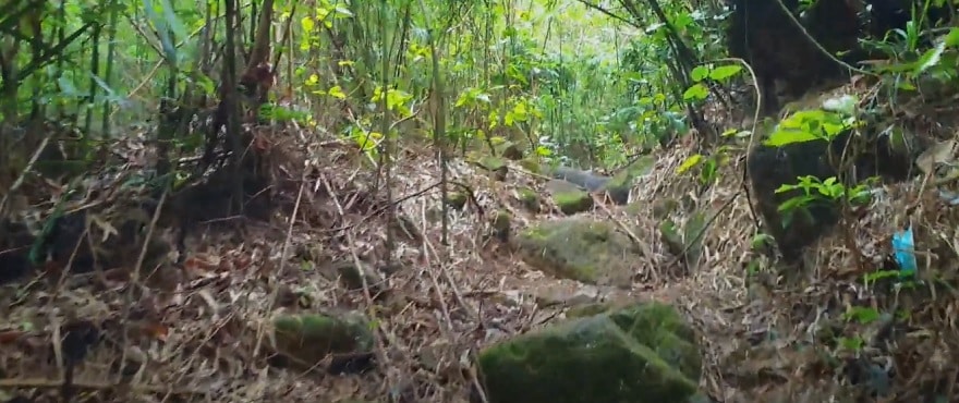 Hill path leading to the waterfall