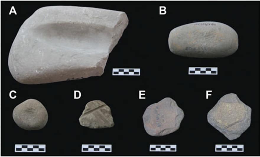 FIGURE 3. Typical stone tools collected from the Cai Beo site (Scale: 5 cm). (A) Ground stone, (B) Grinder/Muller, (C) Pitted stone, (D) Stone tool with “Ha Long” characteristics, (E) Scraper, (F) Pointed tool.
