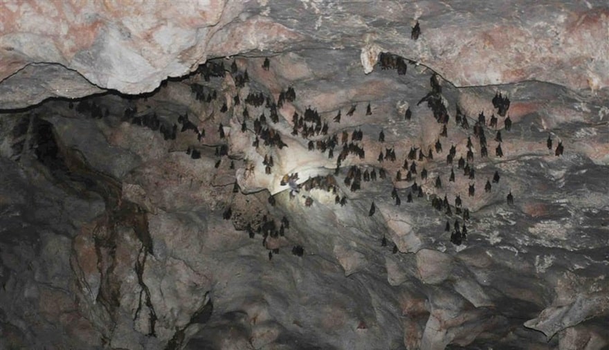 Bat Cave on Cai Lim Island