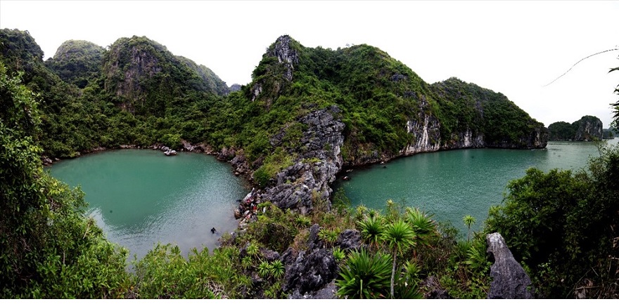 Tung Ang Ecosystem