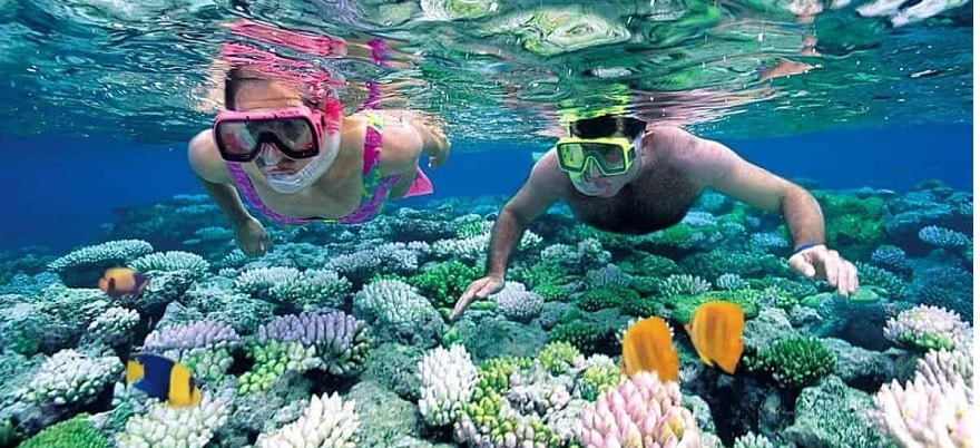 Coral Reef System in Thanh Lan