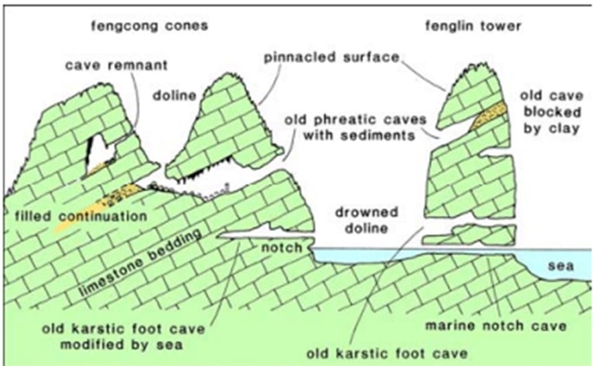 Figure 2. Schematic diagram illustrating the main types of caves in the limestone mountainous region of Ha Long Bay.