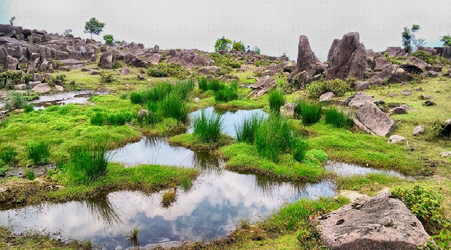 A crystal-clear pond surrounded by lush, vibrant greenery.