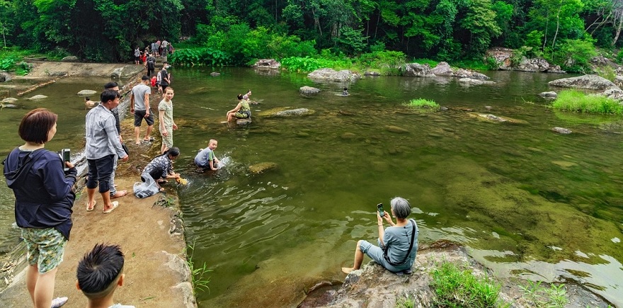 Dong Son Ky Thuong Nature Reserve