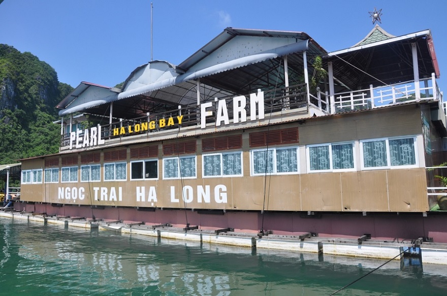 Tung Sau Pearl Farm