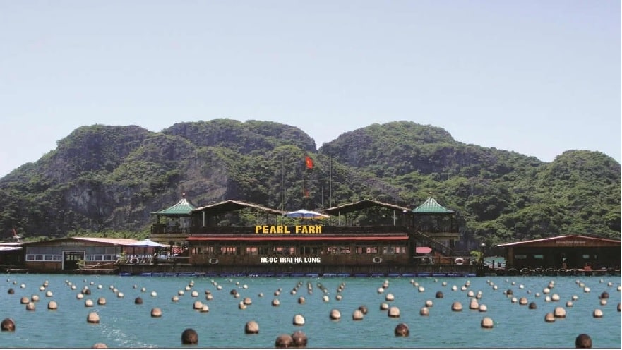 Pearl farm on the Bay