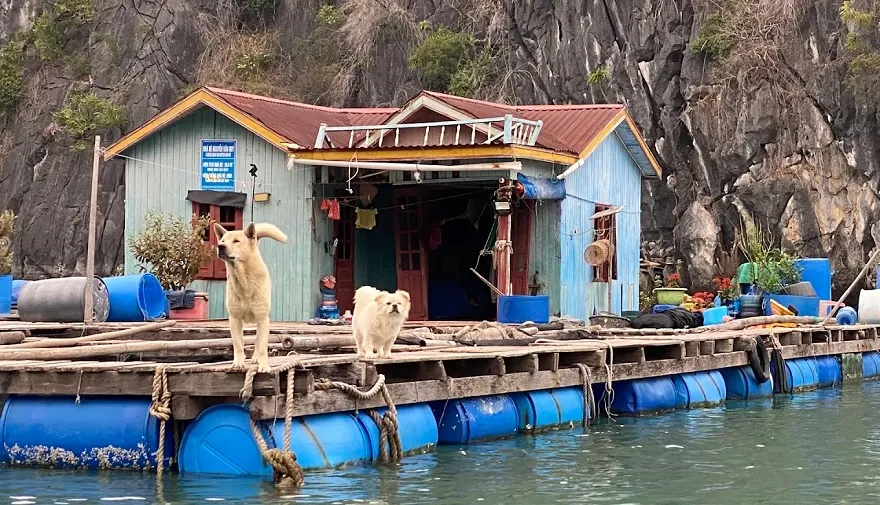 Vung Vieng Fishing Village Area