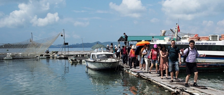 Banh Sua Island ferry terminal area