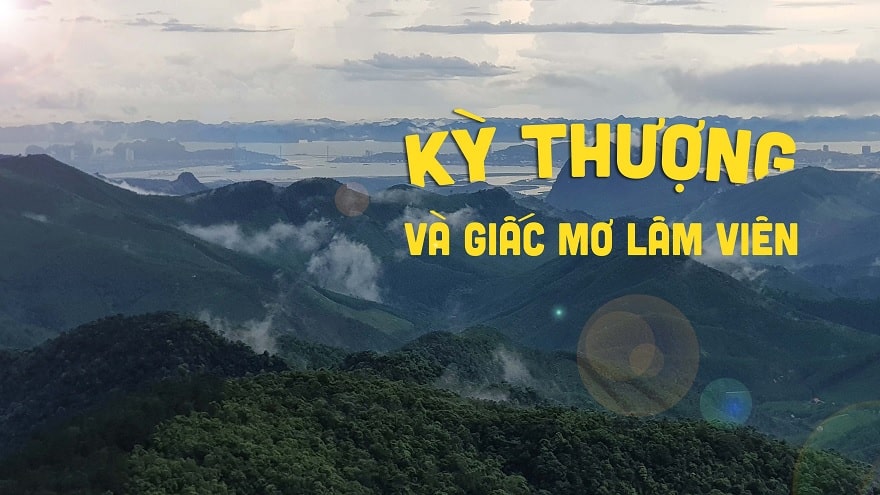 Ky Thuong Hoanh Bo