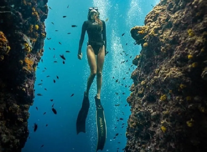 Scuba Diving and Coral Reef Exploration