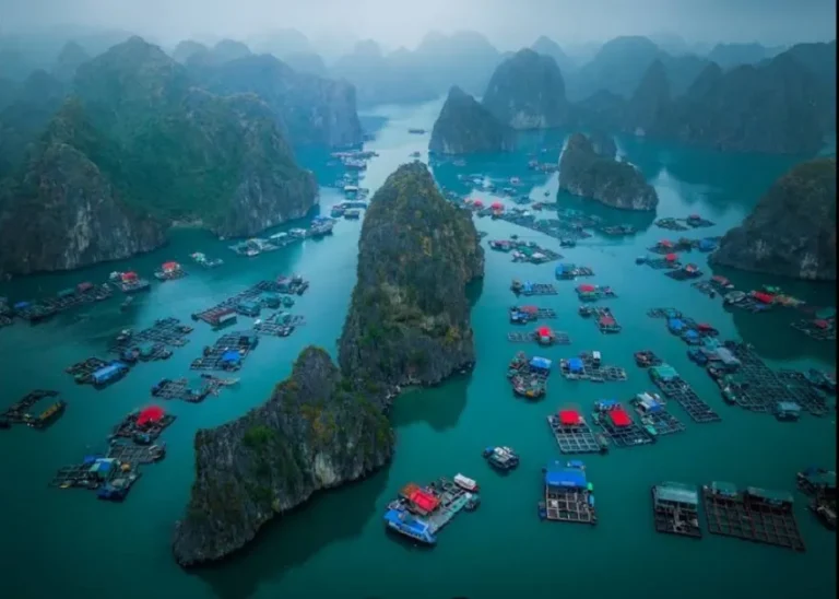 Cai Beo Floating Village: Unveiling a 7,000-Year-Old Maritime Heritage