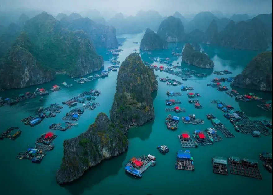 Cai Beo Floating Village: Unveiling a 7,000-Year-Old Maritime Heritage