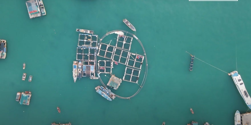 Aquaculture and fishing are the primary livelihoods for the people of Thanh Lan island commune