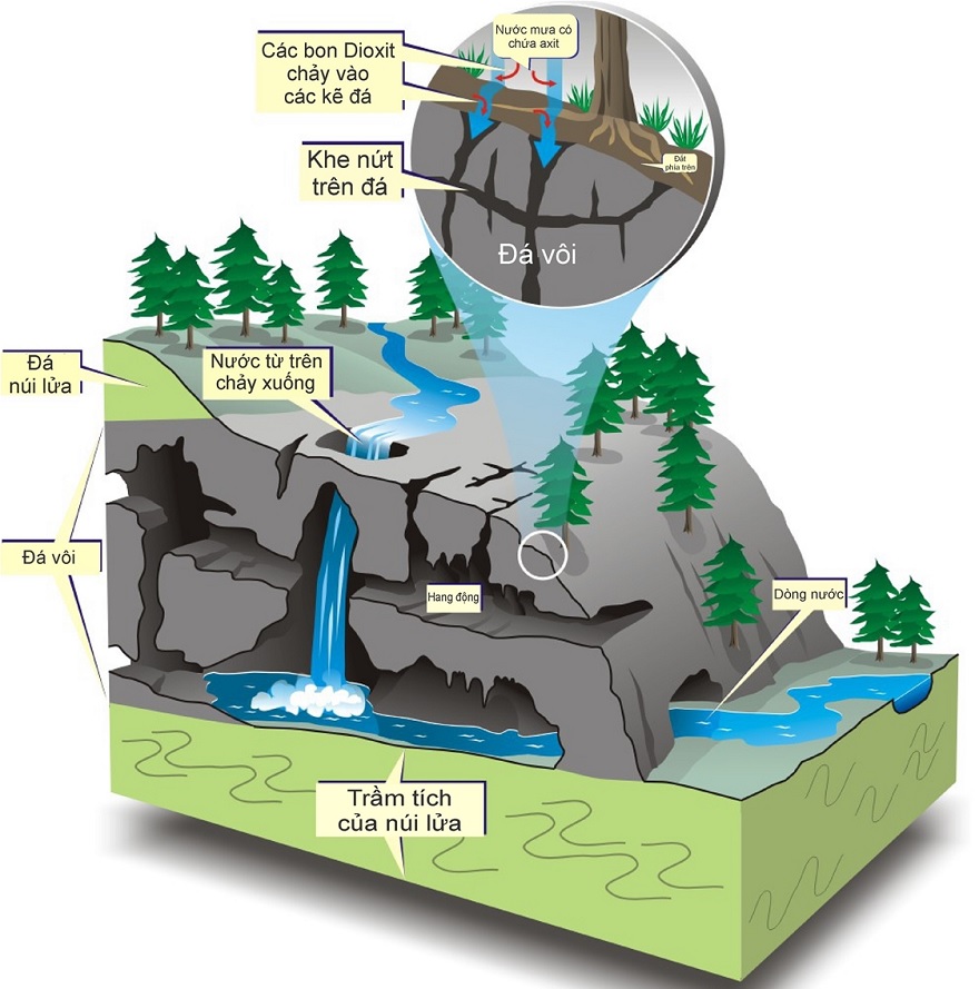 The process of cave formation in Ha Long Bay