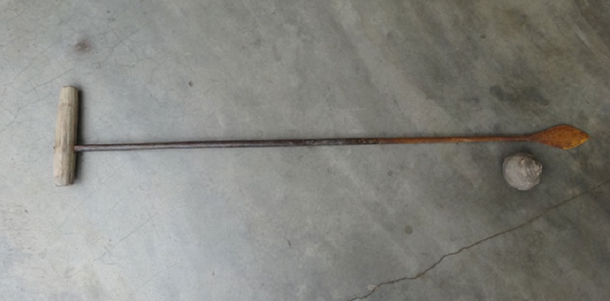 A probing rod – the specialized tool used by fishermen to harvest Ngán clams.