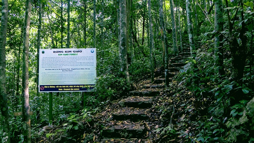 Cat Ba Kim Giao Forest