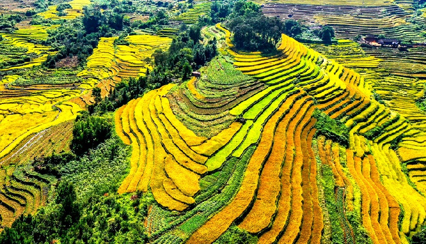 Binh Lieu Terraced Fields