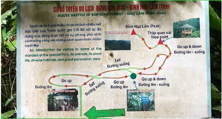 Kim Giao Forest - Ngu Lam Peak Tourism Map