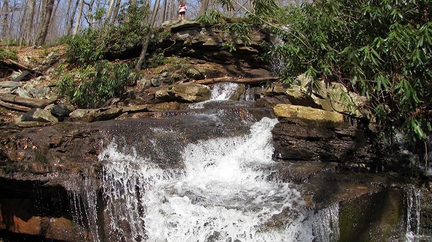 Trach Stream