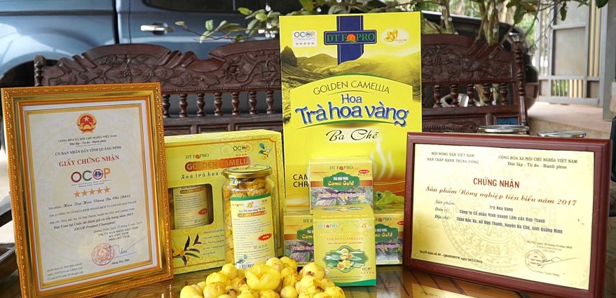 Ba Che Golden Camellia Tea