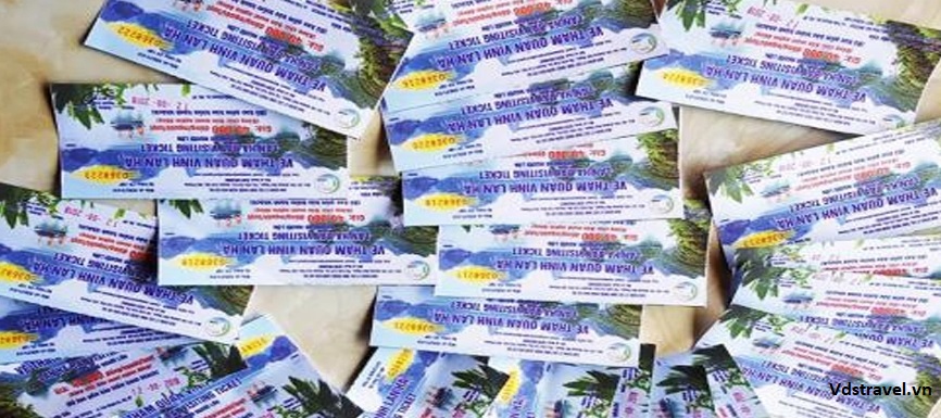 Lan Ha Bay Sightseeing Ticket