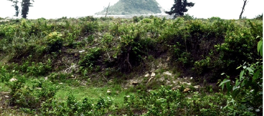 The Ancient Citadel of Ngoc Vung