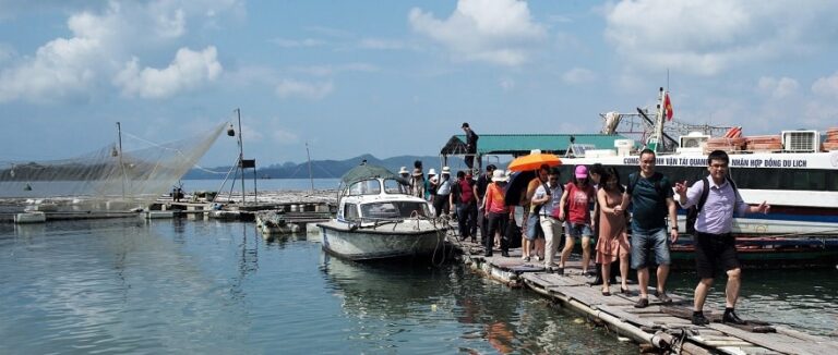 Ban Sua Island: A Pristine Sanctuary Awaiting Discovery in Bai Tu Long Bay
