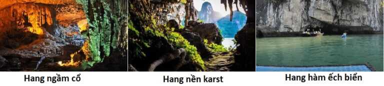 Unveiling the Subterranean Wonders of Ha Long Bay