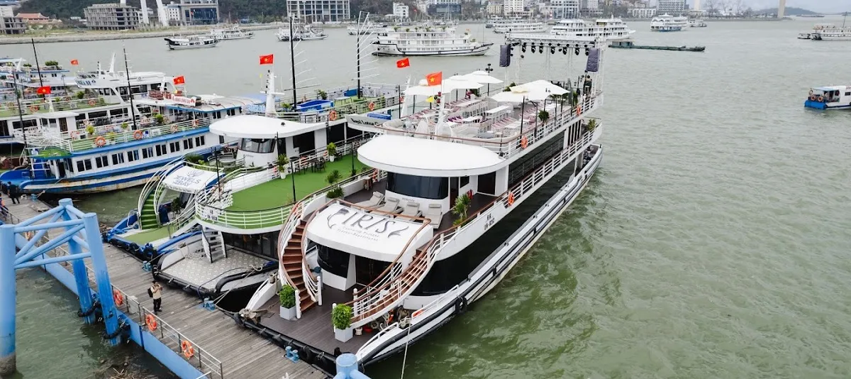 Iris Cruise