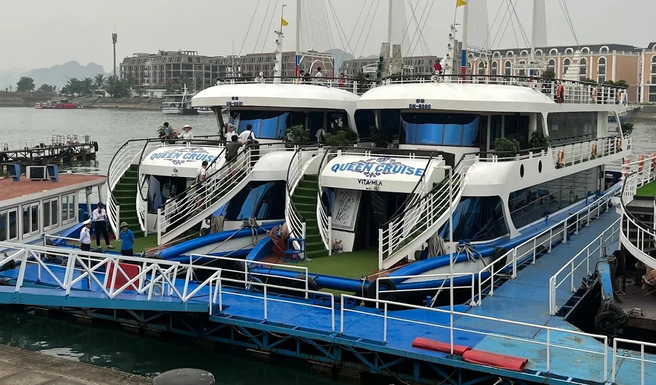 Queen Cruises
