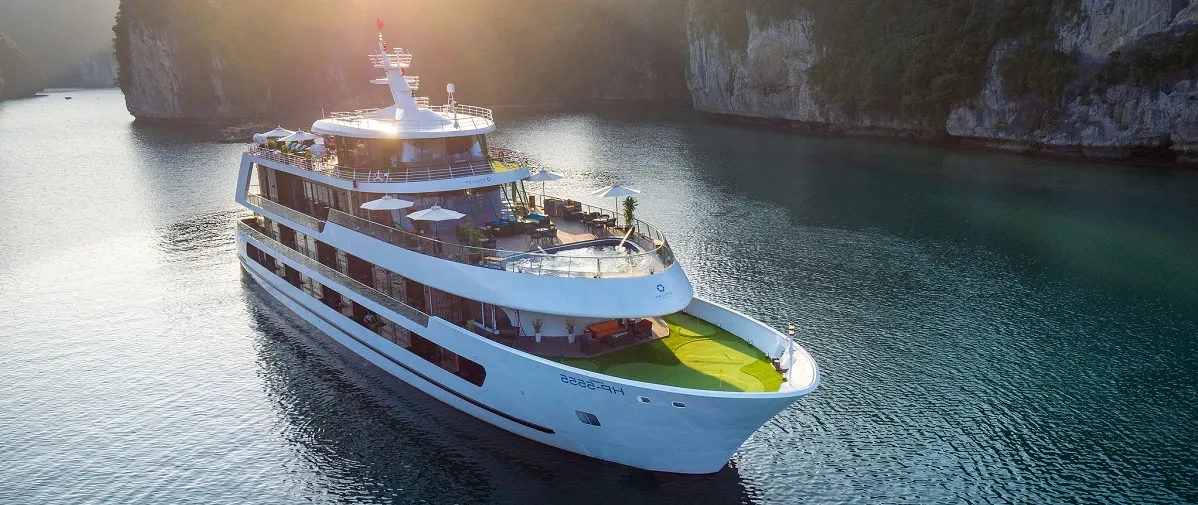 Stellar of the Seas Cruise